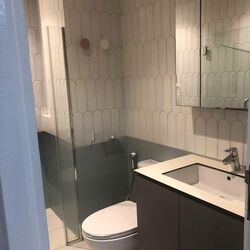 The Hermitage (D10), Apartment #564231271